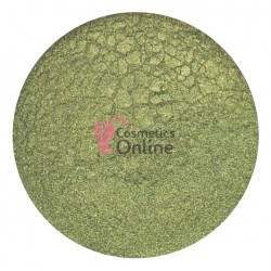 Pigment pentru make-up Amelie Pro U090 Enchanted Forest
